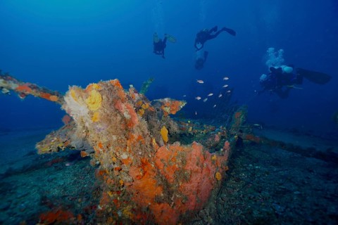 Divers explore an overgrown shipwreck in deep blue water, dive site Wreck Ville de Grasse, Hyères,