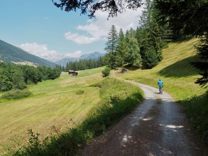 A shady path through the forest along which a female cyclist rides, surrounded by green nature,
