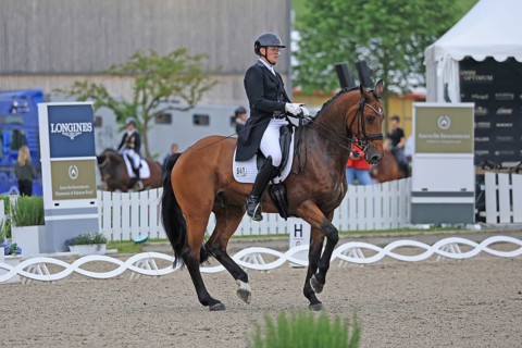 Niklas Brokamp, dressage rider, Balve, North Rhine-Westphalia, Germany