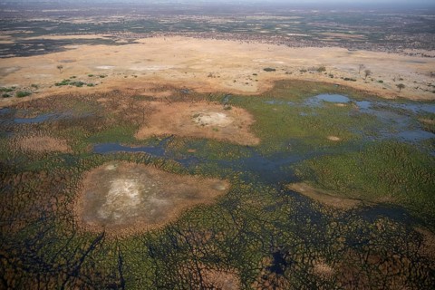 Wetland, landscape, aerial view of the Okavango Delta, near Maun, Okavango Delta, Botswana