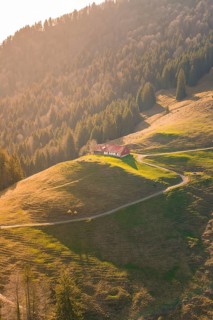 A house on a hill in the evening light, surrounded by forests and mountains, Allgäu, Bavaria,