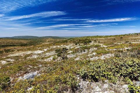 Wide, open landscape up to the horizon under partly cloudy sky, the thornshrub savanna in the