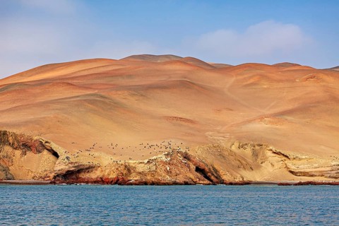 Barren, sandy hills on a coast with blue water under a clear sky, the coast with the desert near