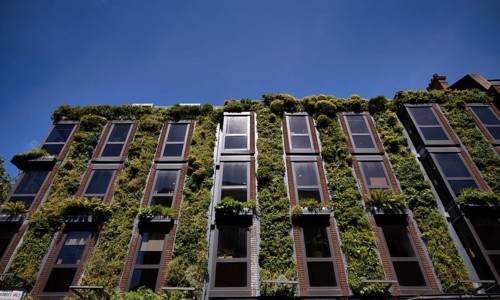 TIFFANY & Co shop, above climate-neutral façade greening, Covent Garden, Westminster, West End,