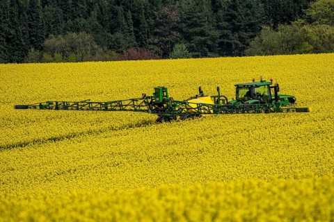 Agriculture, rapeseed field in full bloom, farmer sprays the field with a John Deere M952 trailer