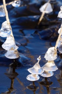 Ice on the banks of the Elbe, Winter, Dresden, Saxony, Germany