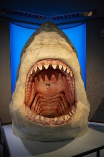 Interior view, open mouth of a shark megalodon (Otodus megalodon), teeth, Naturkundemuseum