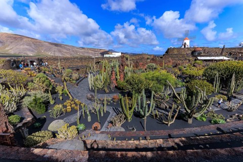 Lanzarote, Canary Islands, Spain, Europe, Cesar Manrique Jardin de Cactus near Guatiza, terraced
