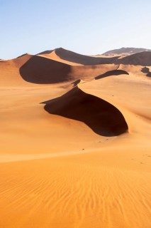 Red and yellow sand dunes of the Namib, Namib Desert, Namib-Naukluft National Park, Namibia