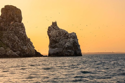 Two big rocks in the sea during sunset, birds flying around, Howth, Ireland