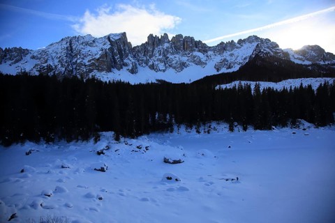 Snowy mountains in the background with dark forest in the foreground under clear blue sky, Pragser
