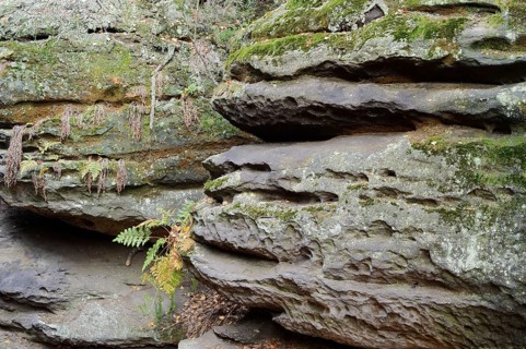 Felsen am Pfaffenstein, Saxon Switzerland, Elbe Sandstone Mountains, Saxony, Germany