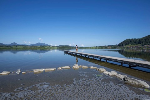 Algae foam on the shore, Hopfensee, Hopfen am See, near Füssen, Ostallgäu, Allgäu, Bavaria, Germany