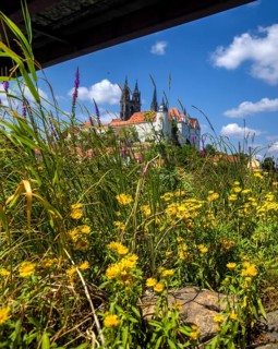 Burgberg with bishop's castle, Albrechtsburh and cathedral, Meissen, Saxony, Germany