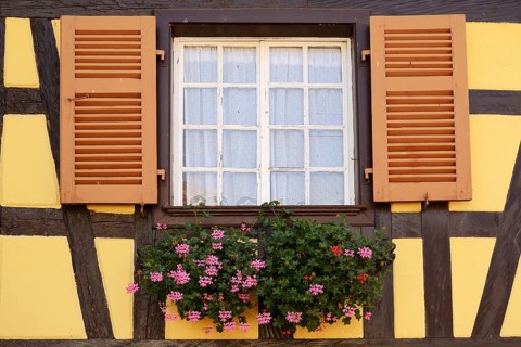 Half-timbered house house, window with shutters and blooming pelargoniums, Kaysersberg Vignoble,