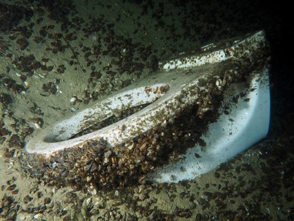 Old toilet submerged in water, overgrown with Quagga zebra mussels (Dreissena rostriformis