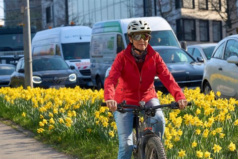 Middle aged woman riding an e-bike on a safe bike path lined with blooming daffodils during spring