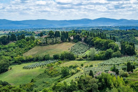View from San Gimignano into the countryside with olive trees, vineyards, fields, and bushes,
