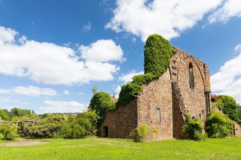 Ruins of Holy Cross Abbey, Meissen, Saxony, Germany