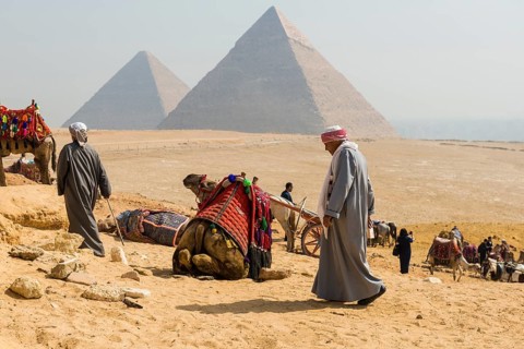 Camels and pyramids, Giza pyramids, UNESCO World Heritage Site, Giza, Cairo, Egypt