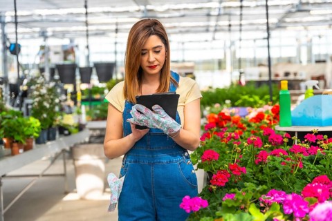 Woman gardener wearing denim overalls and gloves using a digital tablet to manage plant inventory