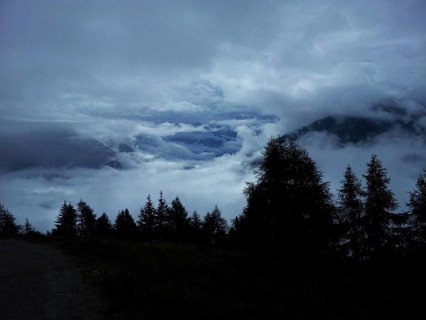 Foggy mountain landscape with clouds and fir trees, (abies), gloomy atmosphere, E5, hiking in the