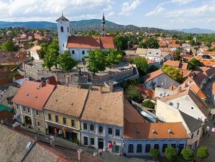 Historical city view with a church surrounded by an old wall, with hills in the background, aerial