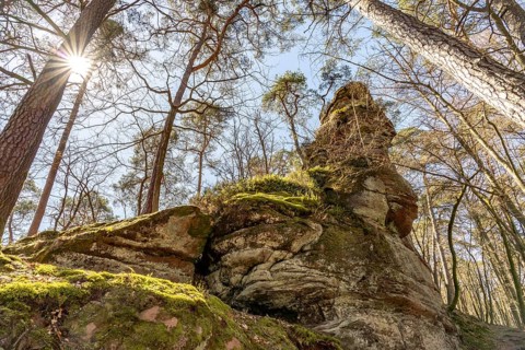 Rock formation in the Dahner Felsenland near Dahn, Palatinate Forest, Rhineland-Palatinate, Germany