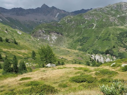 Green mountain landscape with cloudy sky and lush vegetation, Binntal Landscape Park, Goms, Canton