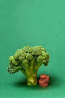 Broccoli and carrot slices, Brassica oleracea var. italica