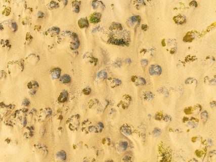 Sparse desert vegetation, mainly Salsola species. Aerial view. Drone shot. Namib Desert, Skeleton