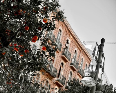 Facade behind an orange tree, Valencia, Spain