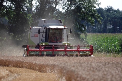 Combine harvester, Claas Lexion 540, wheat (Triticum), cereal harvest, Germany, the wheat is being