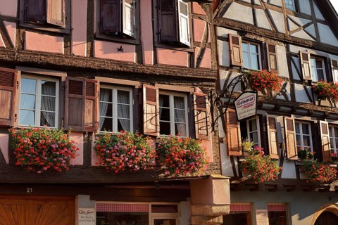 Half-timbered houses with blooming gerargoniums outside the windows, Turckheim, Haut-Rhin, Alsace,
