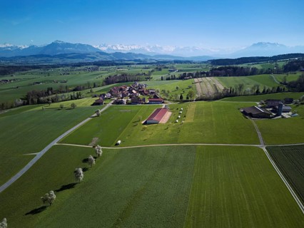 View of the hamlet of Alikon, with the Alps with the Rigi and Pilatus in the back, Sins, Freiamt,