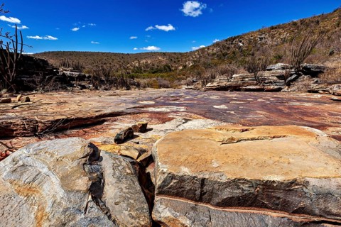 Wide desert landscape with dry vegetation and rocks, under bright blue skies, the thornshrub