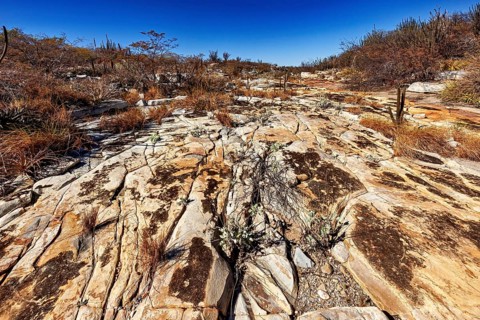 Extensive, stony desert landscape with sporadic plant growth, the thornshrub savanna in the