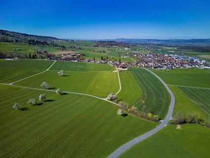 Blooming fruit trees behind the village, Auw, Freiamt, Canton Aargau, Switzerland