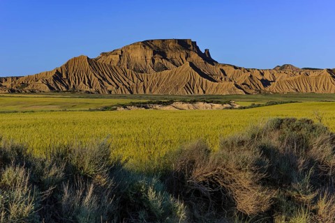 El Rallón in the Bardena Blanca section, Bardenas Reales Natural Park, Navarra, Spain
