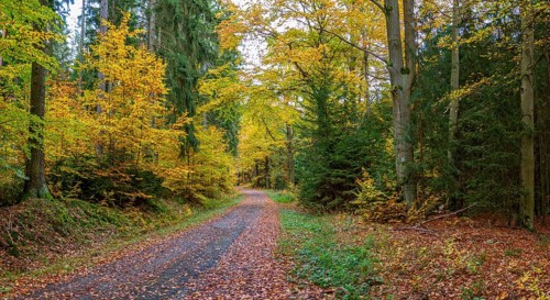 Greiz-Werdauer-Wald, Thuringia, autumn, crumb metal, landscape, landscape, Vogtland