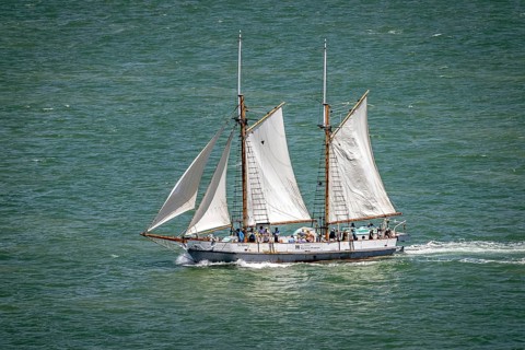 Tall ship Ted Ashby under sail, Waitemata Harbour, Auckland, New Zealand
