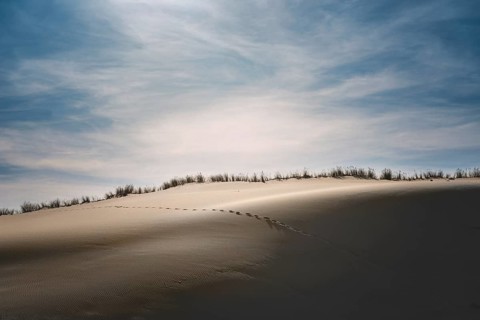 Traces in the sand of a dune on the Atlantic in the evening light