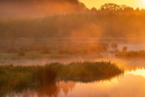 Sunset at Ahlhorn fish ponds, Ahlhorn, Lower Saxony, Germany