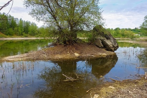 Body of water, lake, reflection, trees, shore, biotope, small island, species protection, nature