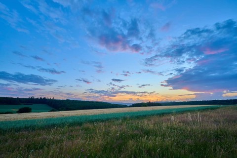 A quiet sunset with soft shades of pink in the sky that stretches across a wide field, summer,