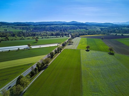 Meadows and fields, on the main road Aristau to Ottenbach, Reusstal, Freiamt, Canton Aargau,
