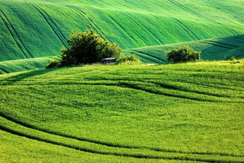 European rural wallpaper, Moravian rolling landscape, Moravia, Czech Republic