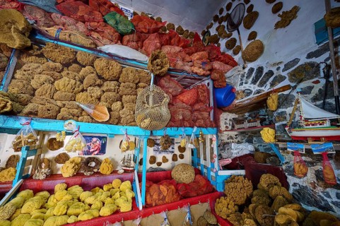 An extensive collection of natural sponges in various colors in a decorative shop, sponge factory,