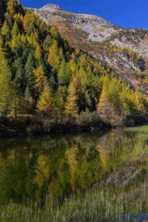 Little pond of the Malta river with a mountain forest in fall foliage on a bright sunny morning.
