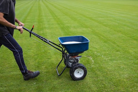 Groundsman spreads artificial fertilizer for grass on a football pitch in Lubin, Poland